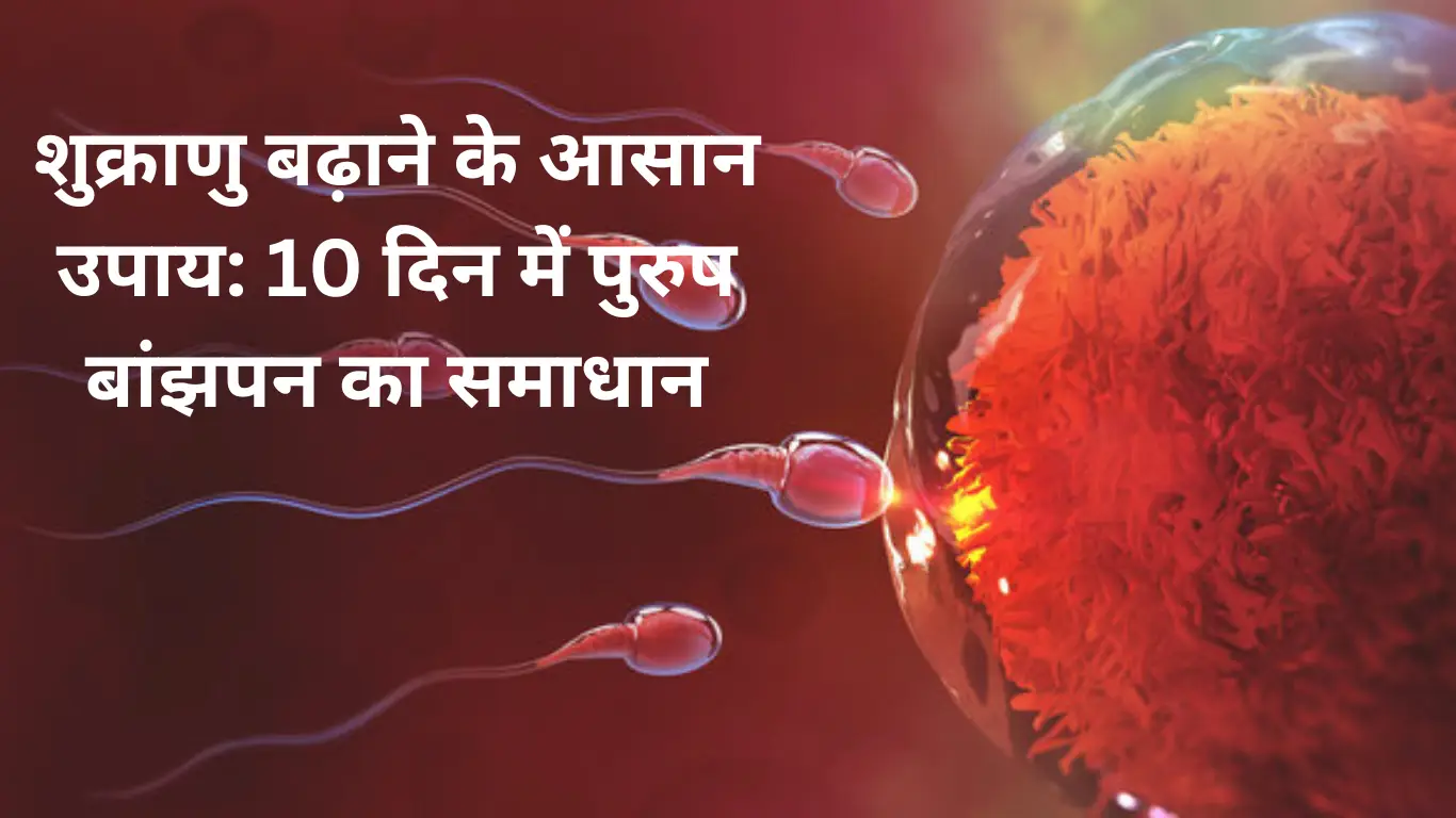 शुक्राणु बढ़ाने के आसान उपाय