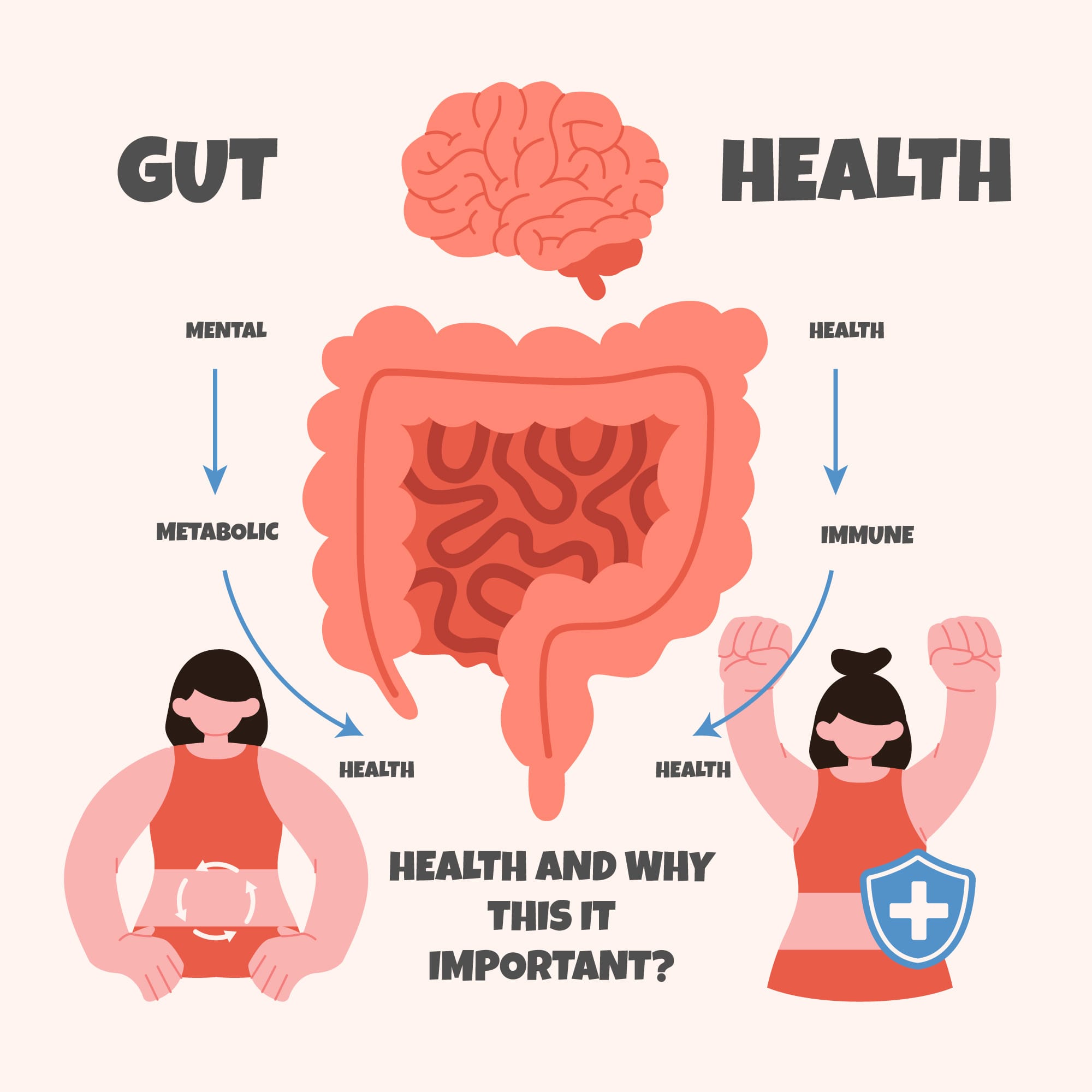 Gut Microbiome Health