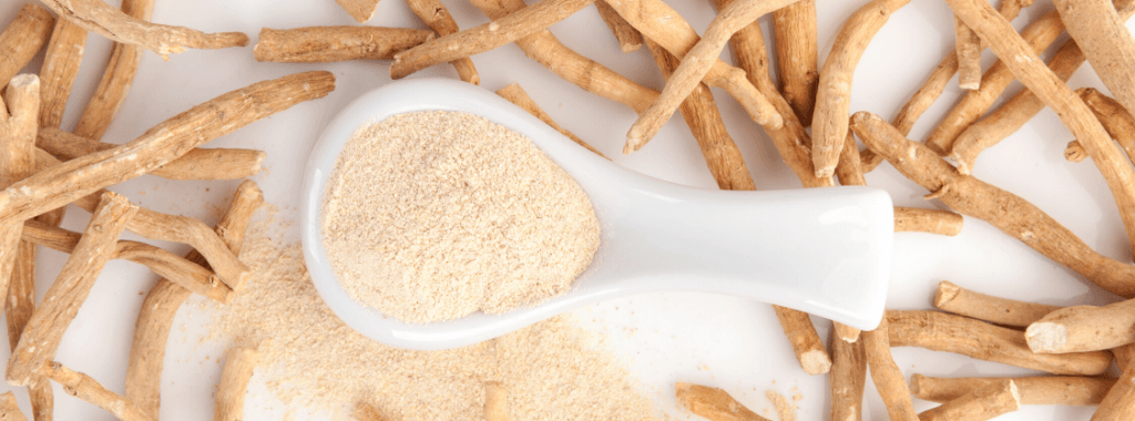 Ashwagandha and Kidney Health: Benefits, Side Effects & 5 Expert Tips 2 Ashwagandha and Kidney